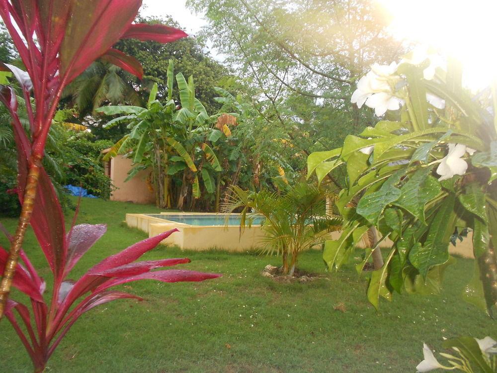 Gipsy Ranch Rooms Cabarete Exterior photo